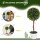 2er-Set Kunstpflanze inkl. Übertopf und Kunstmoos, künstliche Lavendelstämmchen,  Weiß + Grün + Lila