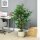 Ficusbaum Kunstpflanze, naturgetreu, 150 cm hoch, mit Topf, Grün