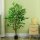 Ficusbaum Kunstpflanze, naturgetreu, 150 cm hoch, mit Topf, Grün