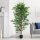 Künstlicher Ficus-Baum, realistisch, pflegeleicht, inkl. Topf, 180 cm hoch, Grün