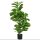 Künstliche Ficus-Pflanze, 110 cm hoch mit 90 Blättern & Topf für Wohnzimmer