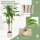 Künstlicher Dracaena-Baum 120 cm mit biegsamen Stämmen und weißem Pflanzgefäß für Wohnzimmer Schlafzimmer Büro