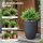 Künstliche Boston-Farn-Büsche UV-beständig, Kunstpflanzen mit Stäben, Set aus 2, 60 cm für Garten, Veranda