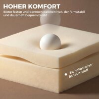 Homeoffice Stuhl Höhenverstellbar Schreibtischstuhl...