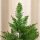 Mini Weihnachtsbaum mit künstlichem Schnee, 60 cm hoch, mit Zementständer, Mehrfarbig
