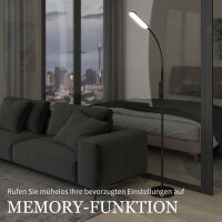LED-Stehlampe, 5 Modi, Speicherfunktion, verstellbare Helligkeit, Stahl, Schwarz