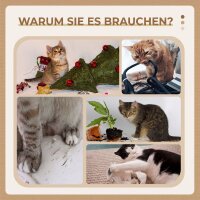 Kratzbaum Katzenbaum, inkl. Spielball, Plüsch, Sisal, 41 cm x 41 cm x 81 cm, Creme + Braun